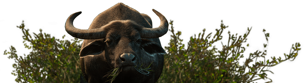 Farming Simulator 25