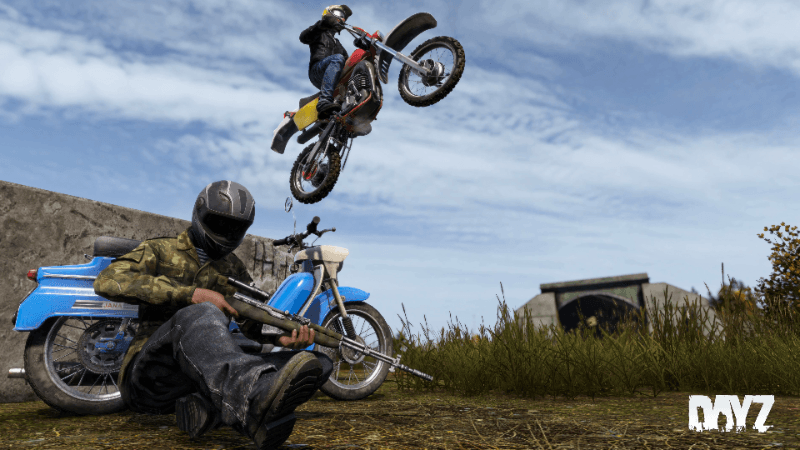 DayZ